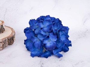 IMG_4836.jpg
