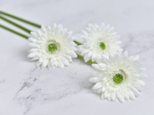 (1013).JPG