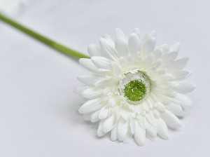(1014).JPG