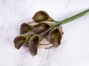 IMG_4974.jpg
