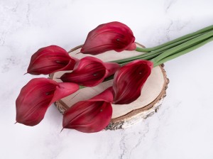 IMG_5000.jpg