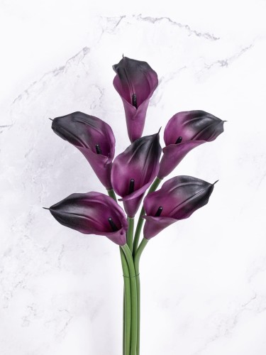 Calla/KALLA Gałązka Gumowana AN10 # Purpurowy/Czarny*109/S (6 szt)