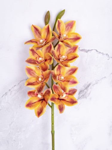 Storczyk CYMBIDIUM V5 # Stonowany Piękny Pomarańcz