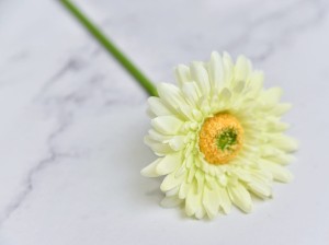 (1018).JPG