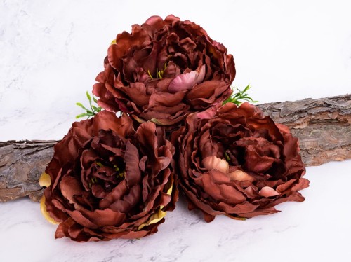 Peonia Wyrobowa L60 # Brąz Ceglasty*16 (12 szt)