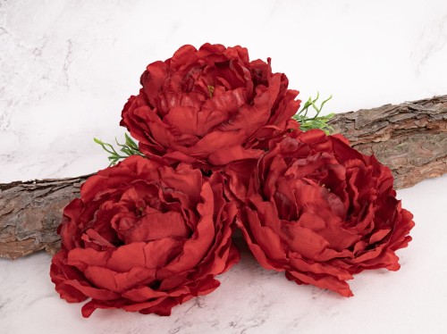 Peonia Wyrobowa L60 # Piękna Czerwień/Rubin*55 (12 szt)