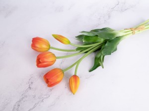 IMG_5962.jpg