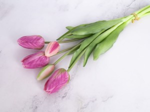 IMG_5959.jpg