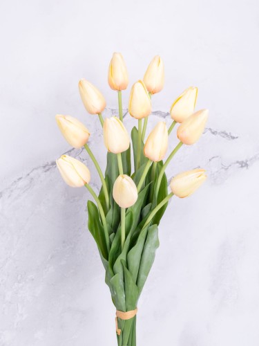 Tulipany w Pęczku T59 # Vanilla (12 szt)