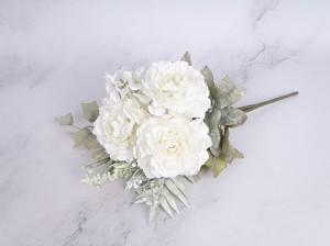 IMG_6225.jpg