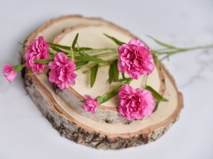 (458).JPG
