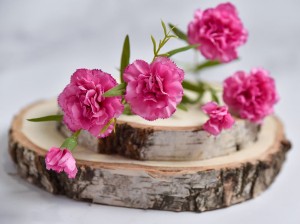 (457).JPG