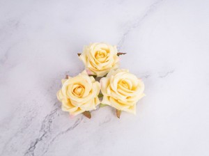 IMG_6585.jpg