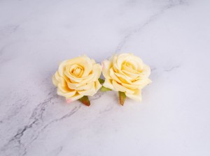 IMG_6586.jpg