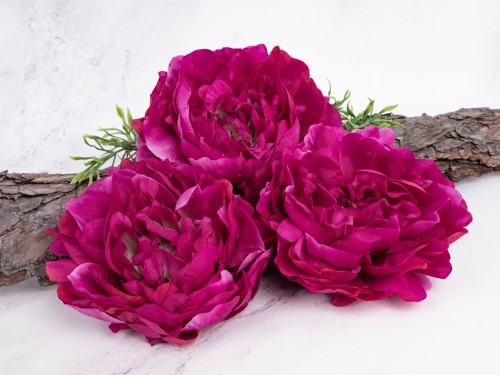 Peonia - Piwonia SN406 # Fuksja*2976 (12 szt)