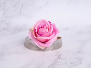 IMG_6624.jpg