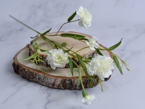 (1141).JPG