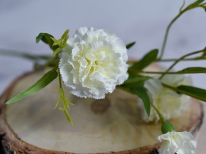 (1146).JPG