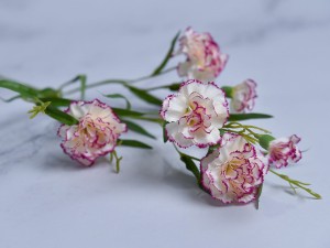 (1144).JPG