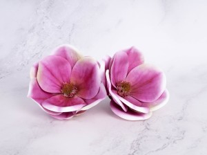 IMG_6988.jpg