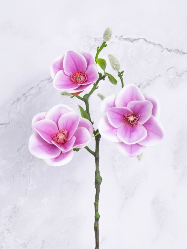 Magnolia Gałązka "Lateks" # Lila/Róż