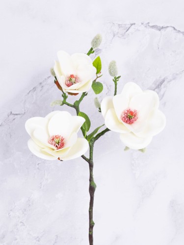 Magnolia Gałązka "Lateks" # Krem/Jasna Wanilia