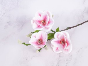 IMG_7099.jpg
