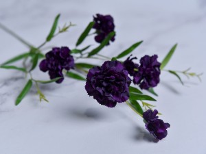 (1158).JPG
