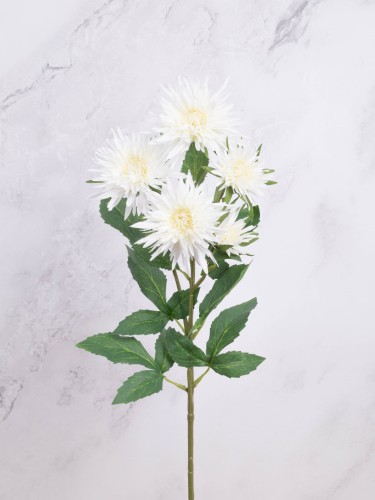 Aster Gałązka SN62 # Krem*2707
