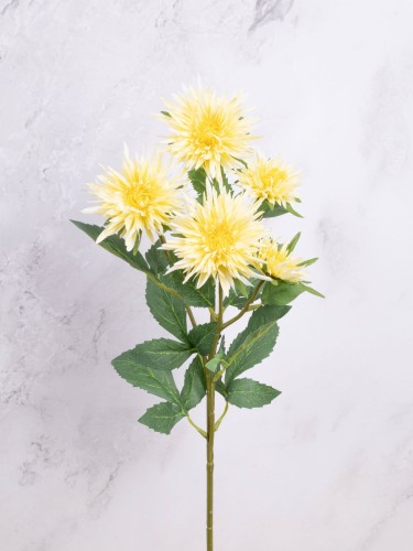 Aster Gałązka SN62 # Delikatny Żółty*2708