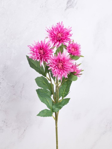 Aster Gałązka SN62 # Róż cieniowany*2705