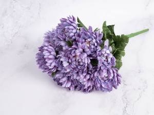 IMG_7821.jpg