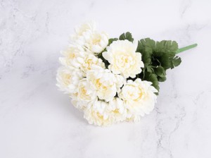 IMG_7823.jpg
