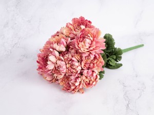 IMG_7829.jpg