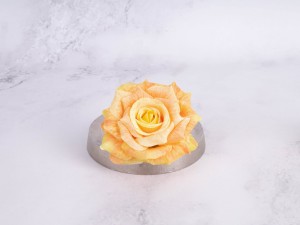 IMG_8268.jpg