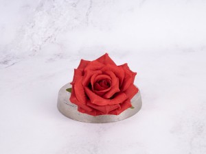 IMG_8267.jpg