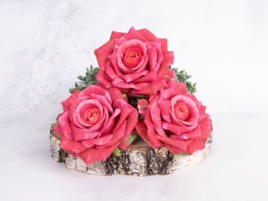 IMG_8224.jpg