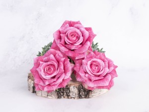 IMG_8202.jpg