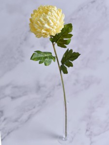 (1363).JPG
