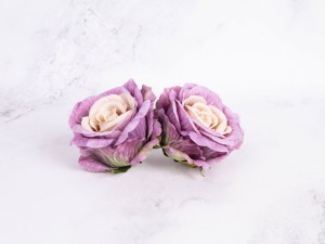IMG_8631.jpg
