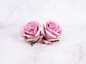 IMG_8636.jpg