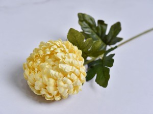 (1362).JPG