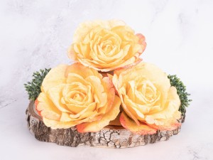IMG_8720.jpg