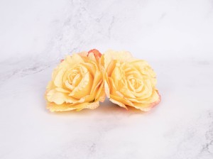 IMG_8759.jpg