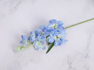 IMG_8376.jpg