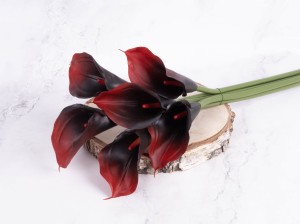 IMG_8971.jpg