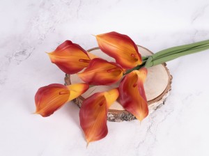 IMG_8897.jpg