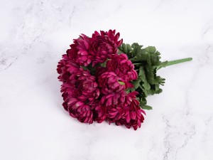 IMG_8804.jpg