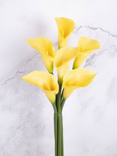 Calla/KALLA Gałązka Gumowana AN10 # Żółty/Lemon*57 (6 szt)