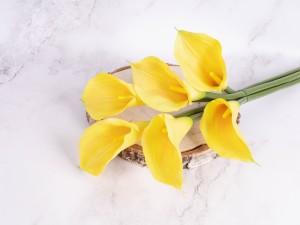 IMG_8885.jpg